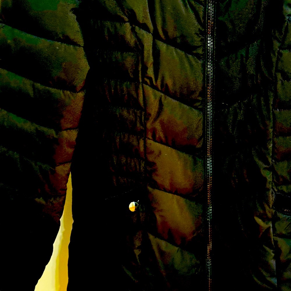 Beautiful winter coat! - Picture 2 of 5